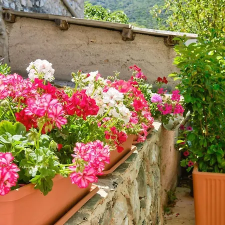 Kaleta Appartement Sveti Jakov