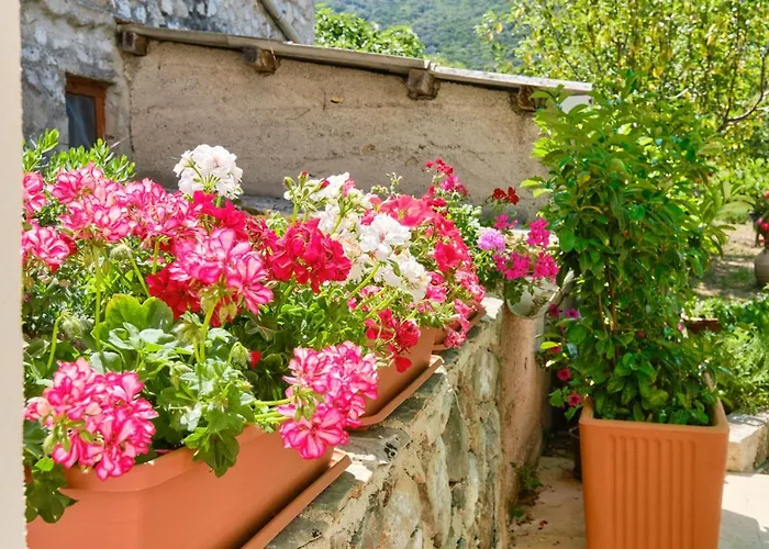 Kaleta Apartmán Sveti Jakov